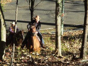 IMG_3379