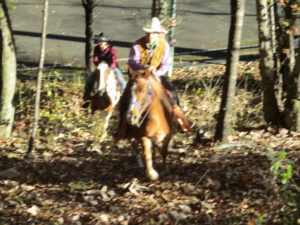 IMG_3380