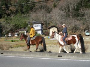 IMG_4653