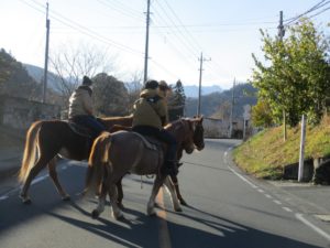 IMG_4697