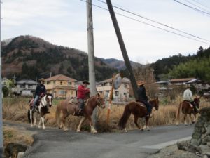 IMG_4856