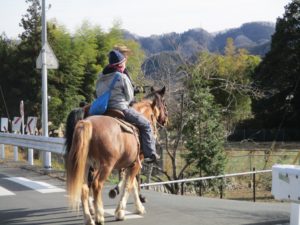 IMG_5141