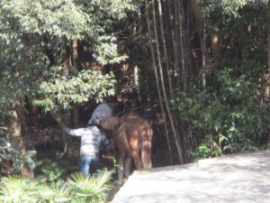 IMG_5427