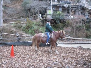 IMG_5923