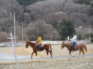 IMG_6115