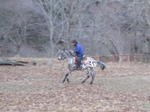 IMG_6201
