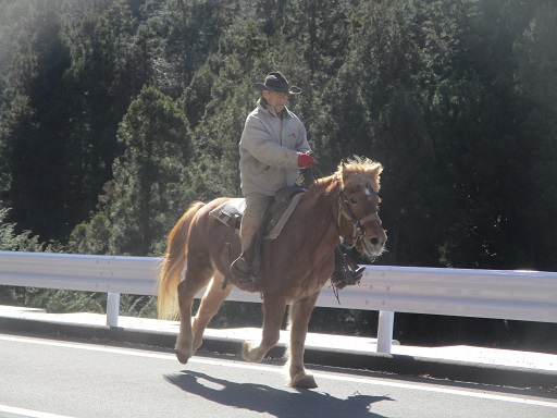 千鹿谷方面から KURIOSTABLE